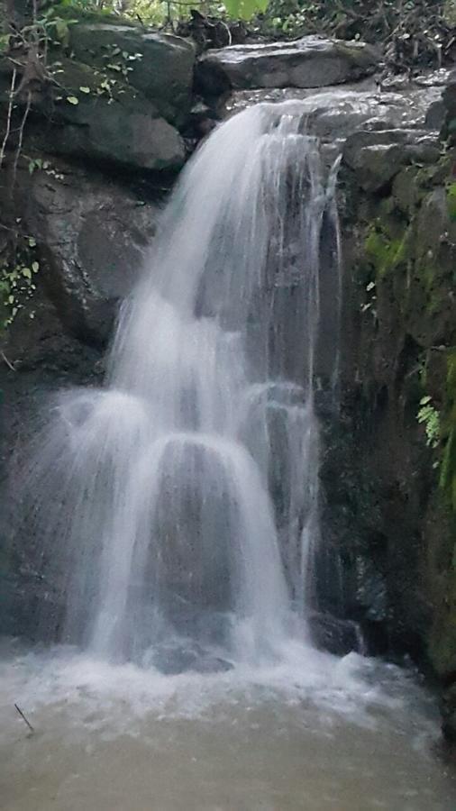 Cherilyn Monta Resort - Ratnagiri Vatul ภายนอก รูปภาพ